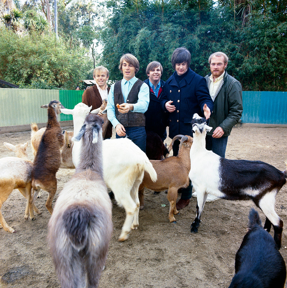 The Beach Boys Pet Sounds album cover photoshoot